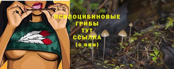 каннабис Бородино